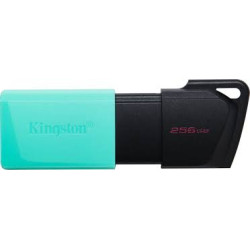 Pendrive Memoria USB Kingston 256GB