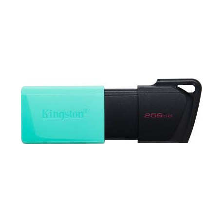 Pendrive Memoria USB Kingston 256GB