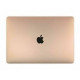 Pantalla Macbook Air A1488