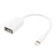 Cable OTG Datos USB Hembra a lightning