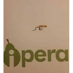 Flex power+ conector de carga para lg g sol