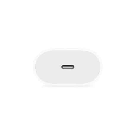 Cargador Portatil 19V